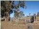 Leyburn QLD 4365