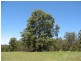 Liston NSW 2372