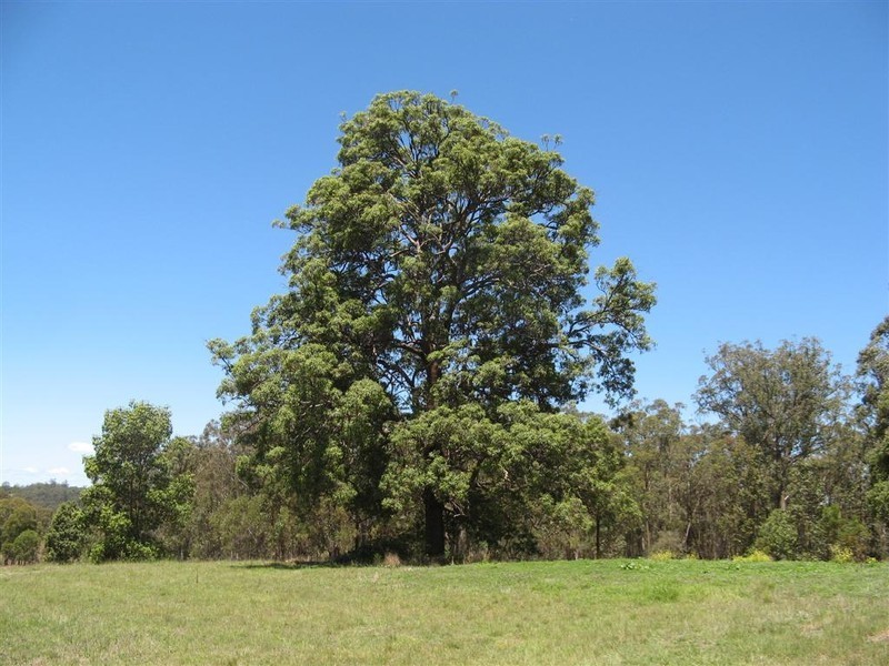 Liston NSW 2372