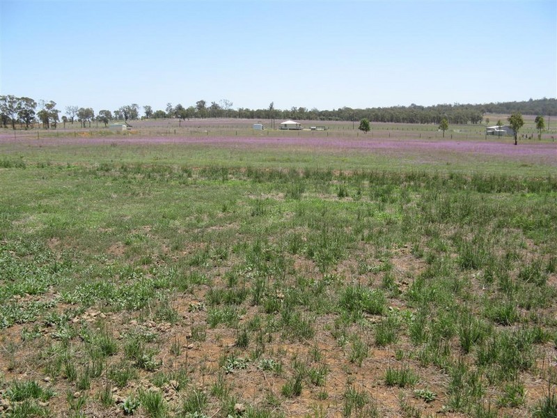 Warwick QLD 4370