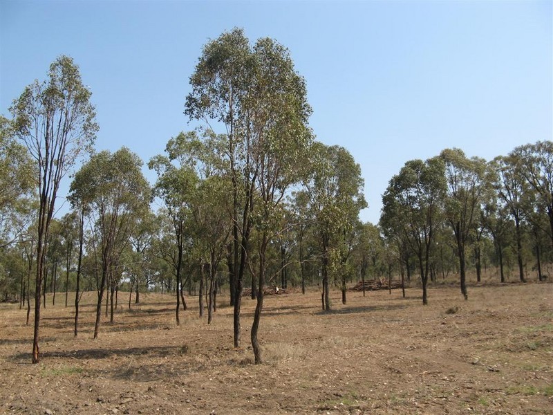 Warwick QLD 4370