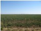 Yandilla QLD 4352