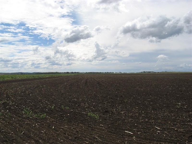 Allora QLD 4362