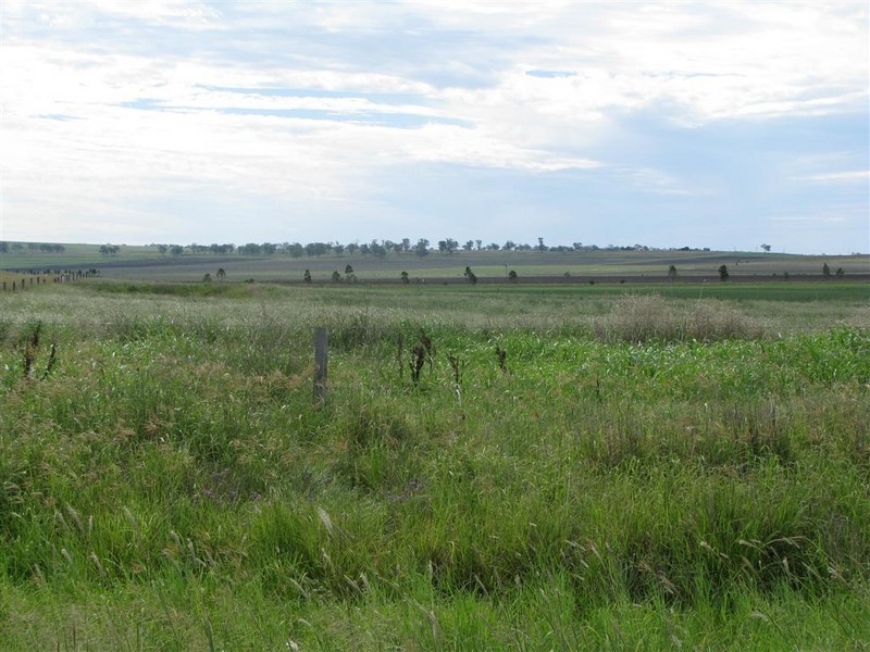 Warwick QLD 4370