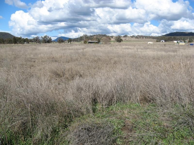 Warwick QLD 4370