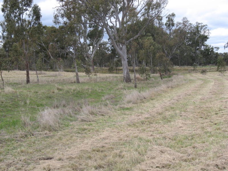 Warwick QLD 4370