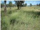 Allora QLD 4362
