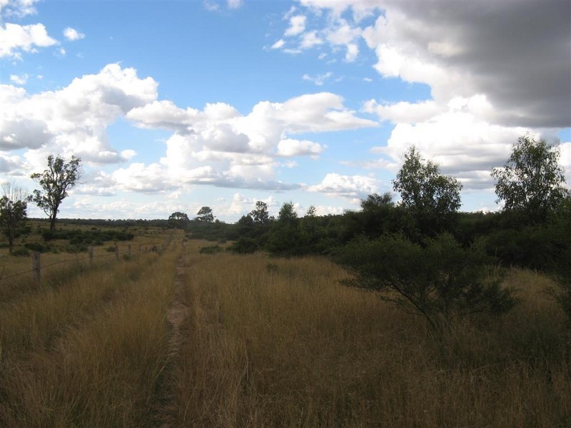Warwick QLD 4370