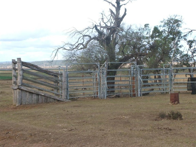 Warwick QLD 4370