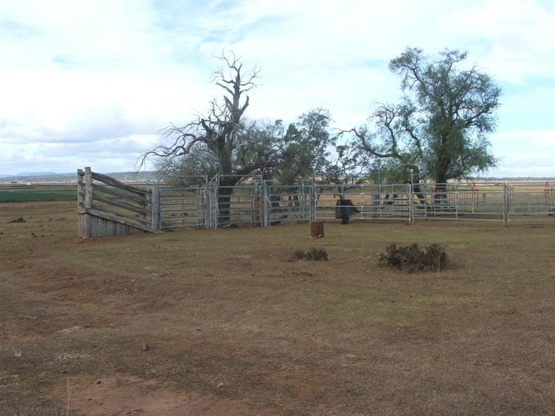 Warwick QLD 4370