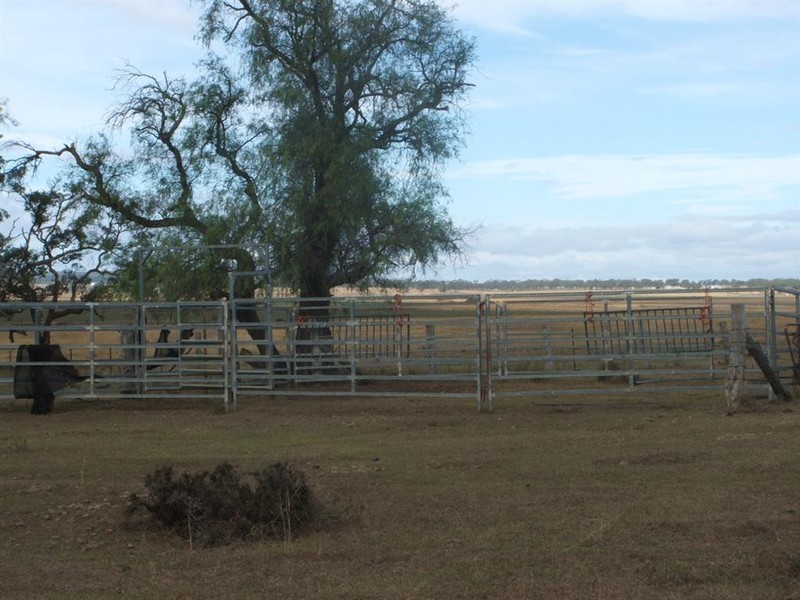 Warwick QLD 4370