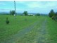Allora QLD 4362