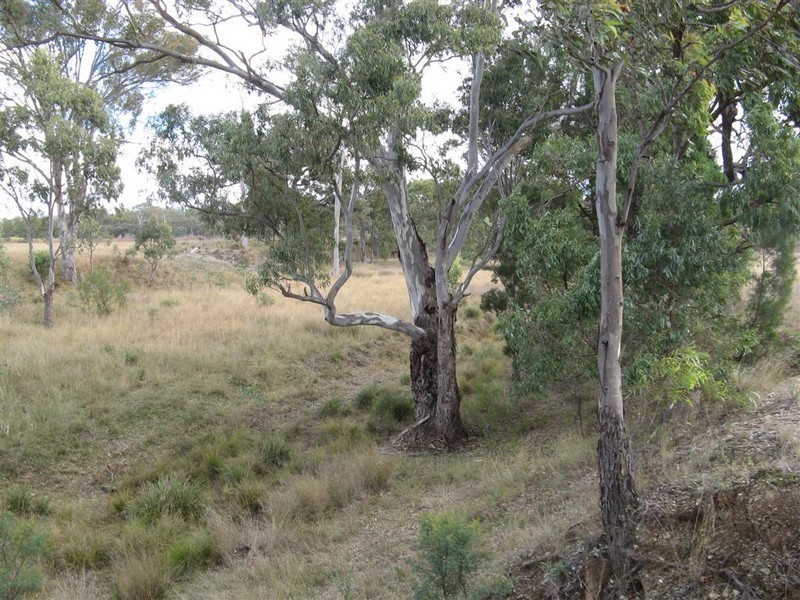 Warwick QLD 4370