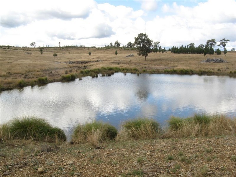 Warwick QLD 4370