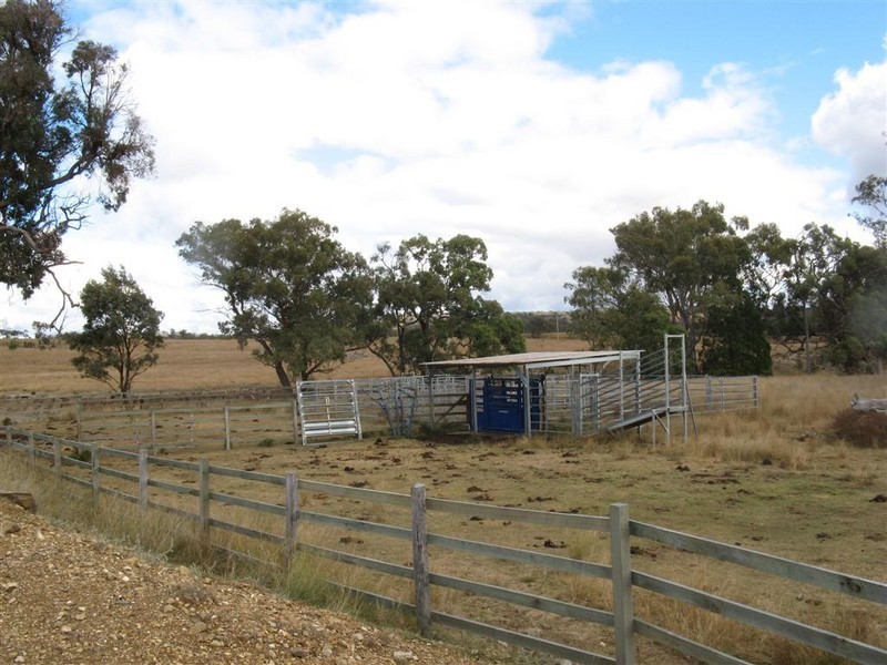 Warwick QLD 4370