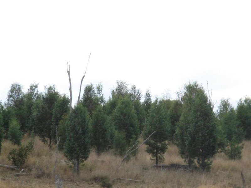 Warwick QLD 4370