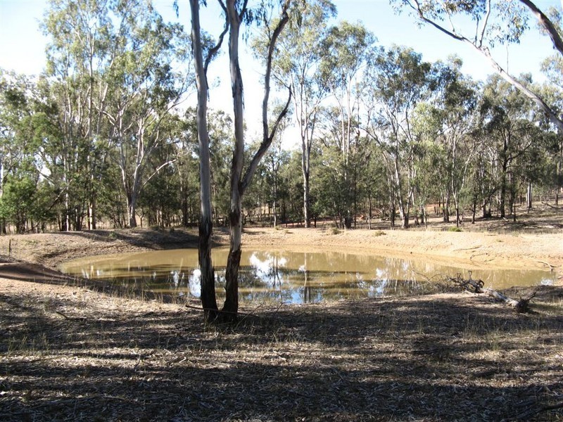 Warwick QLD 4370