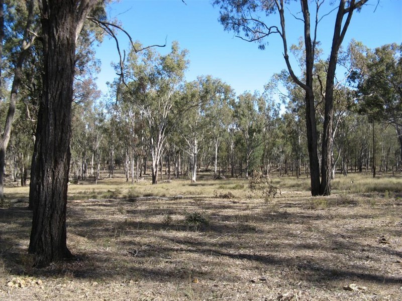 Warwick QLD 4370