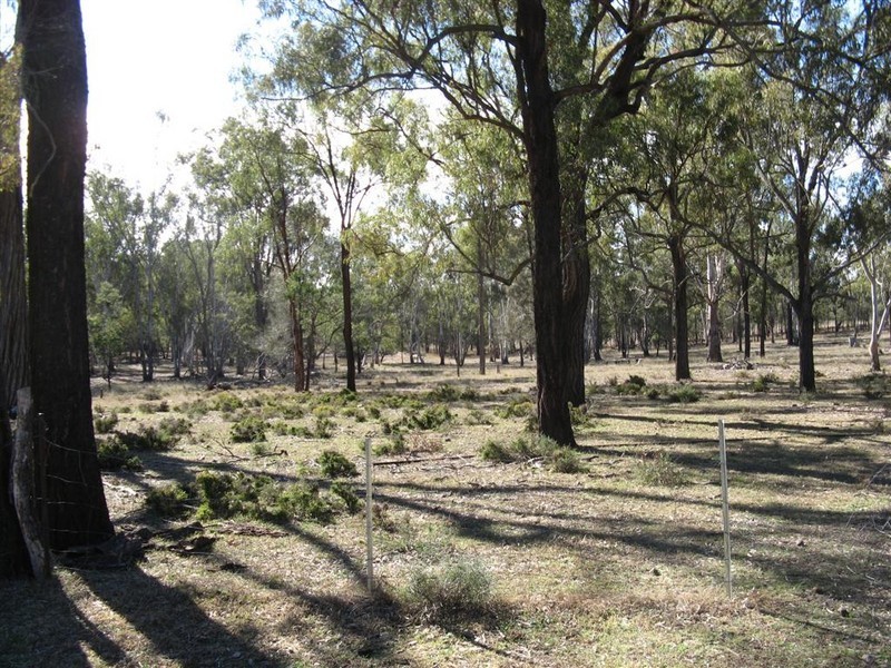 Warwick QLD 4370