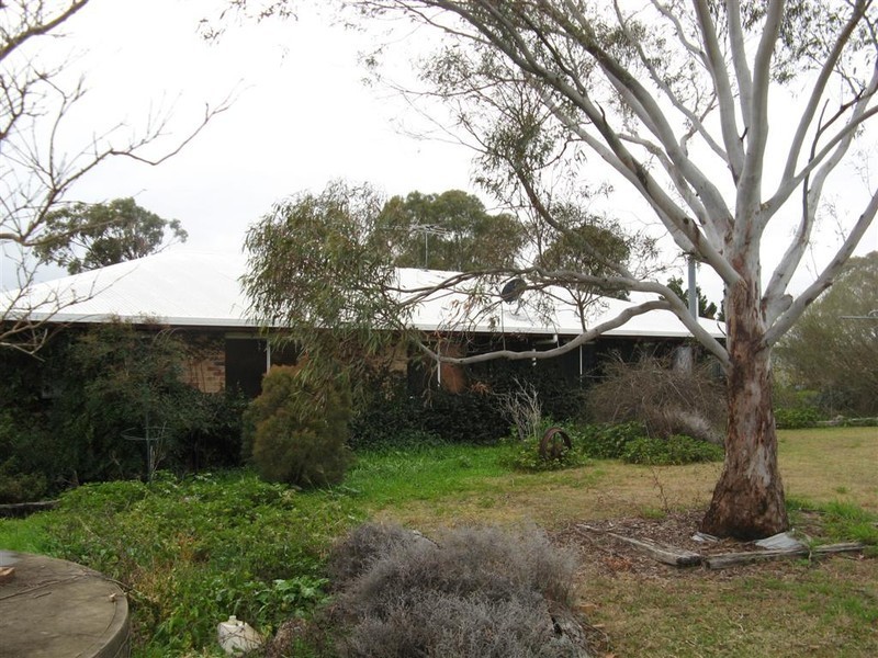 Warwick QLD 4370