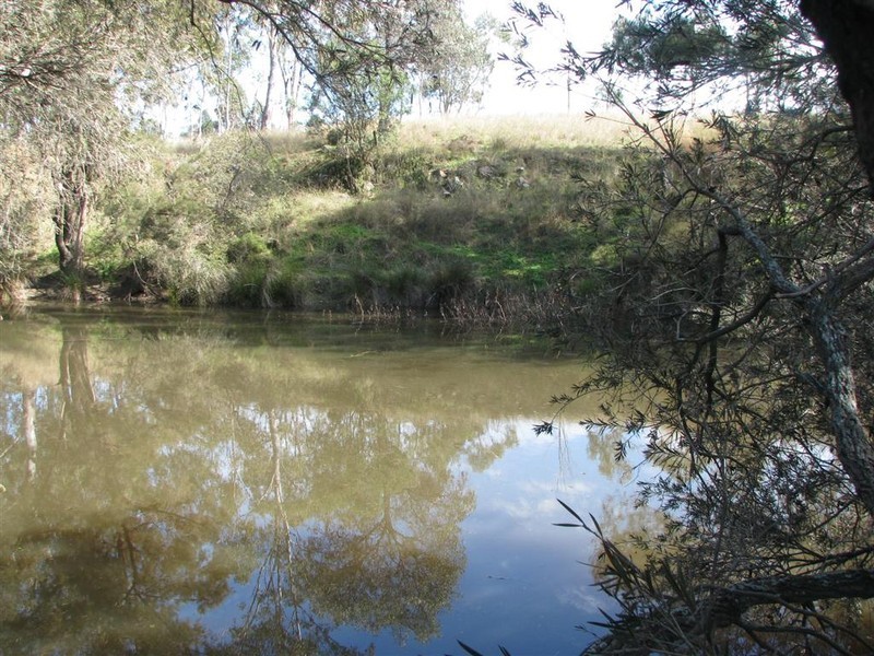 Warwick QLD 4370