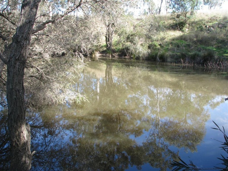Warwick QLD 4370