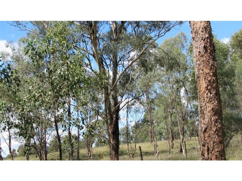 Warwick QLD 4370