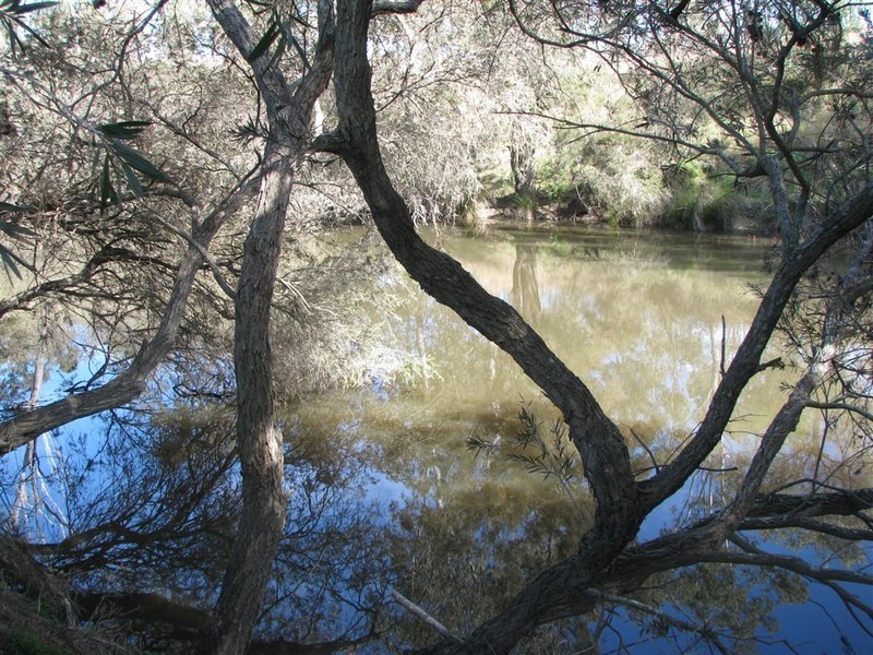 Warwick QLD 4370
