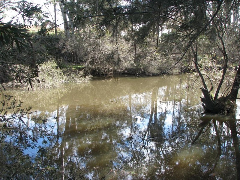 Warwick QLD 4370
