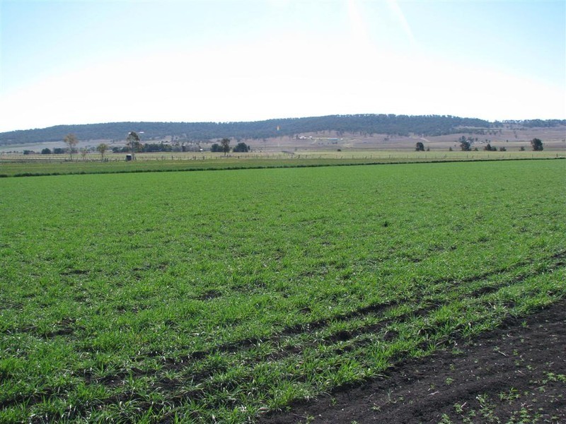 Warwick QLD 4370