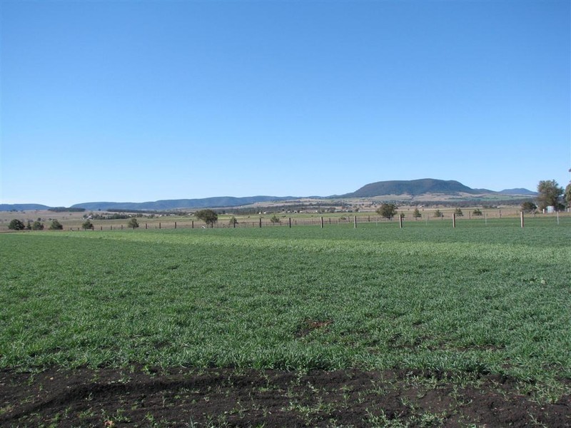 Warwick QLD 4370