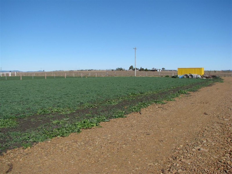 Warwick QLD 4370