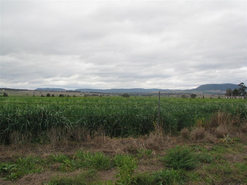 Warwick QLD 4370