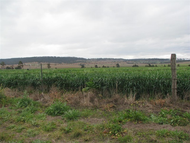 Warwick QLD 4370