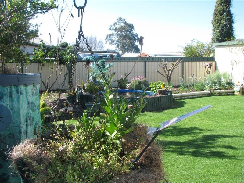 Warwick QLD 4370