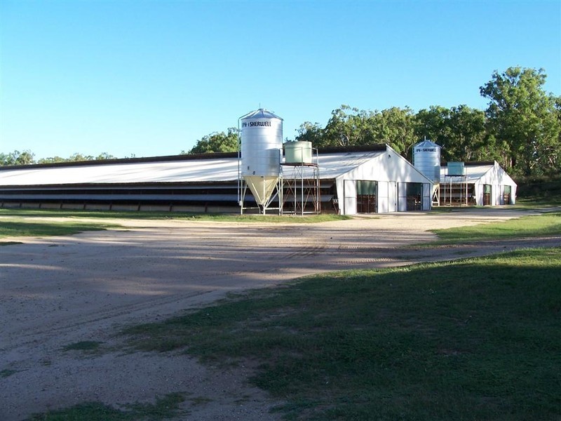 Warwick QLD 4370