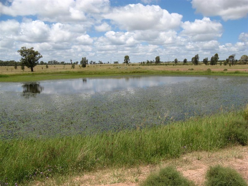 Millmerran QLD 4357