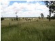 Millmerran QLD 4357