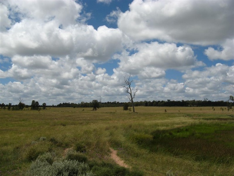 Millmerran QLD 4357