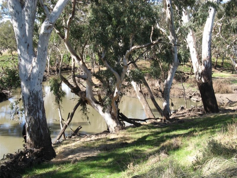 Warwick QLD 4370