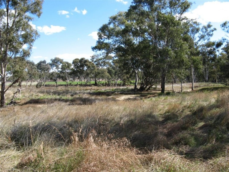 Warwick QLD 4370