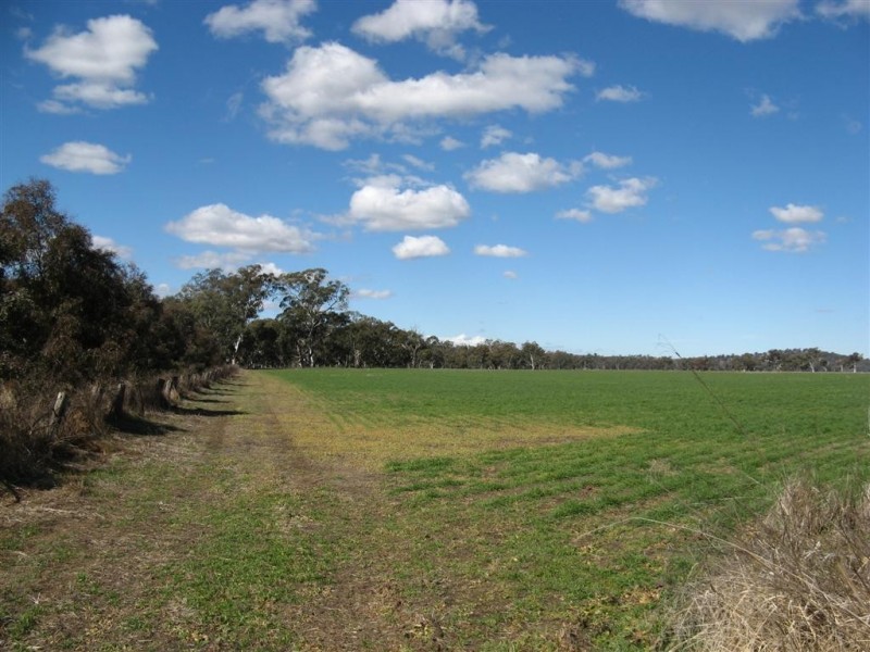 Warwick QLD 4370