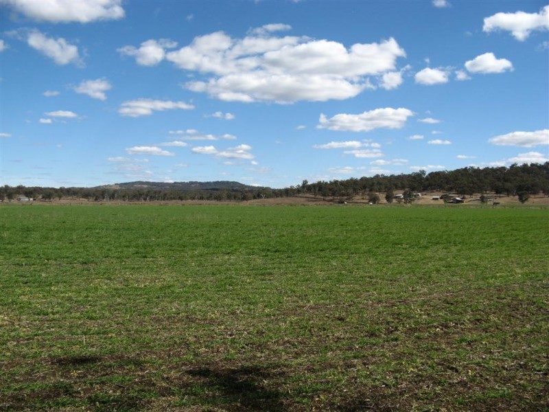 Warwick QLD 4370