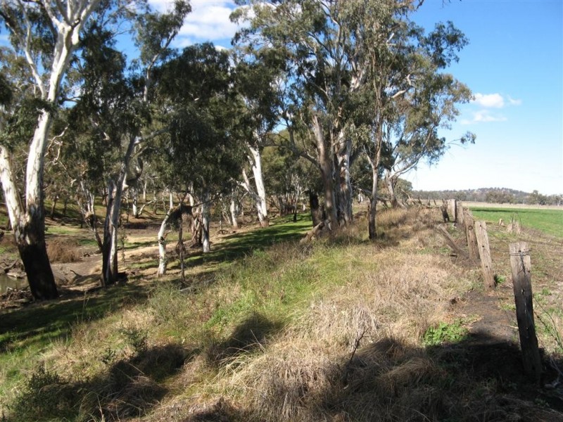 Warwick QLD 4370