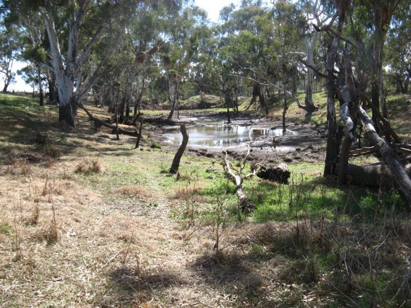 Warwick QLD 4370