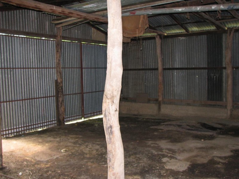 Warwick QLD 4370