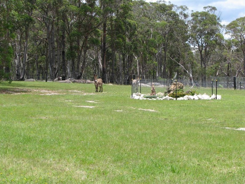 Tenterfield NSW 2372