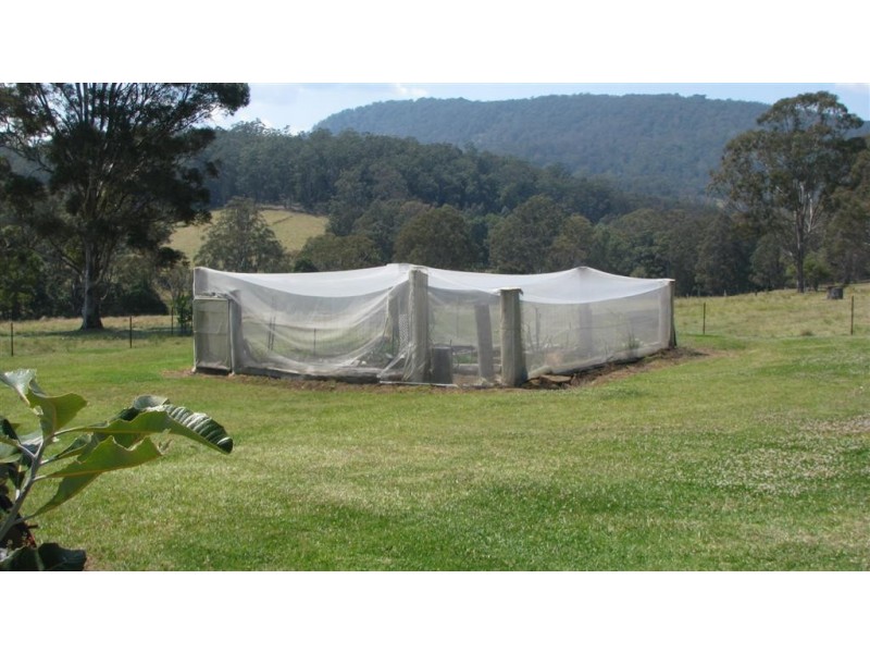 Killarney QLD 4373