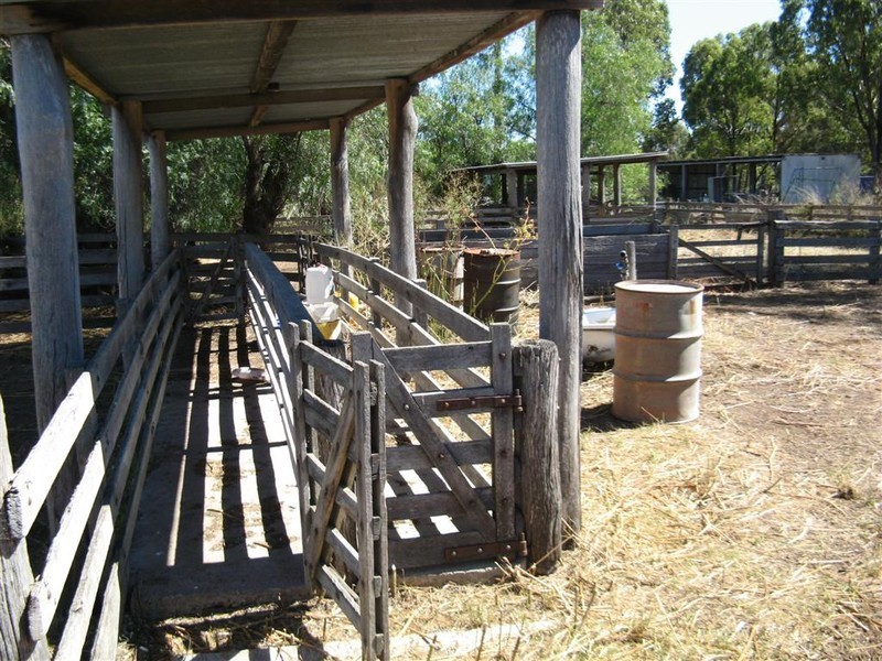Warwick QLD 4370