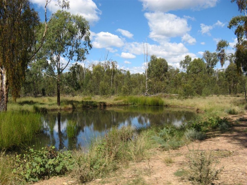 Warwick QLD 4370